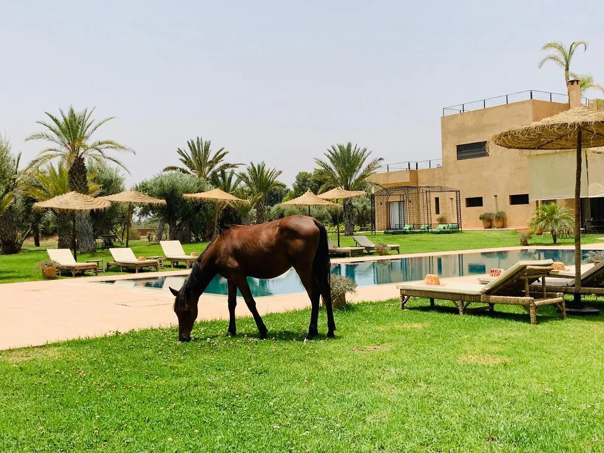 Marrakech Retreat Hotel Srarhna 4*,  Morocco