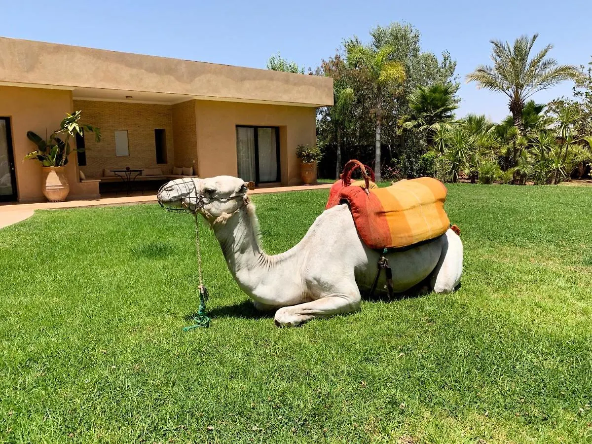**** Guest house Marrakech Retreat Hotel Srarhna Morocco